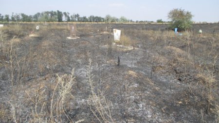 В Никополе выгорела часть кладбища (фото)