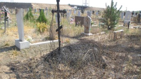 В Никополе выгорела часть кладбища (фото)