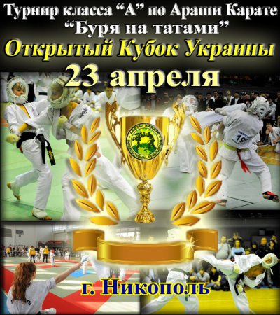 Запрошуємо шанувальників змішаних єдиноборств на Відкритий Кубок України з Араши карате в Нікополі!