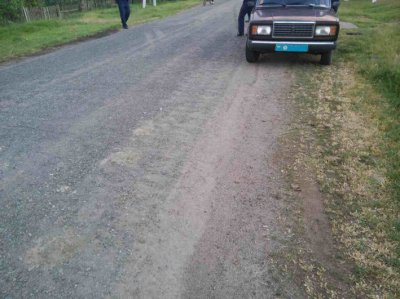 У Томаківському районі п'яний водій збив інспектора дорожнього руху (фото)